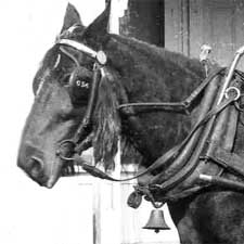 Horsedrawn Grocery Cart 1900/ Strawbery Banke Museum