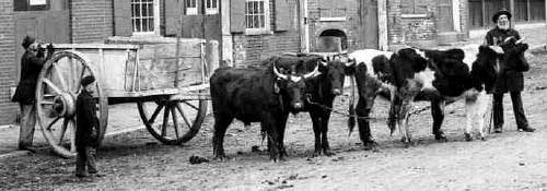 Ox carts in Bow Street, Portsmouth, NH / Strawbery Banke