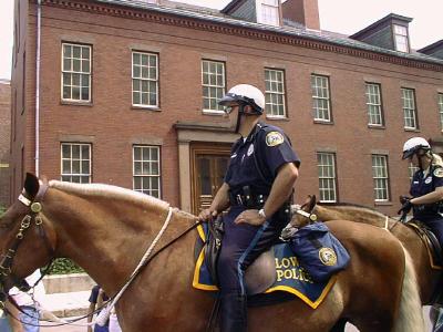 Lowell Music Festival Mounted Police