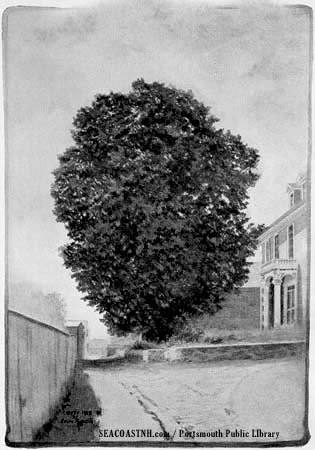Linden Tree at Gardner House / SeacoastNH.com