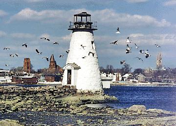 Gulls passing Palmer's Island Lighthouse / (c) D'Entremont