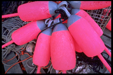 Lobster Buoys (c) Dan Gair