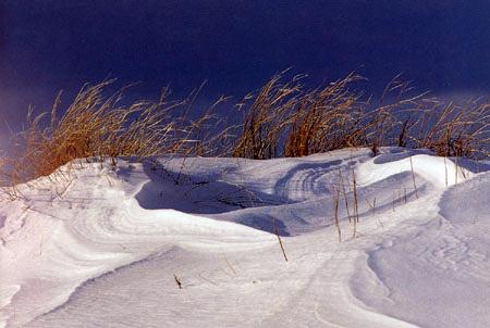 Snowdrifts at Plum Island by Micahel Hubley