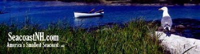 Isles of Shoals with gull and boat/ SeacoastNH