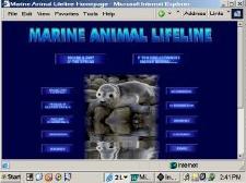 Marine Animal LIfeline