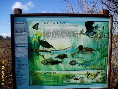 Estuary education sign at Fort Foster/ SeacoastNH.com