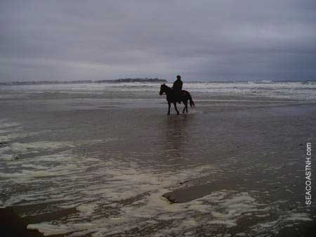Horse and rider on Hampton Beach in winter / SeacoastNh.com