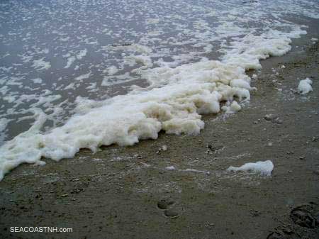 Hoofprints in icy foam on SeacoastNH beach in winter / J. Dennis Robinson