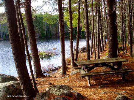 New Hampshire State Parks, Northwood, NH (c0 SeacoastNH.com