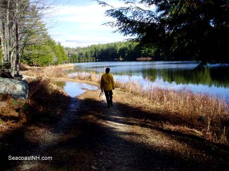 Hiking trail at Northwood Meadows State Park, NH / SeacoastNH.com