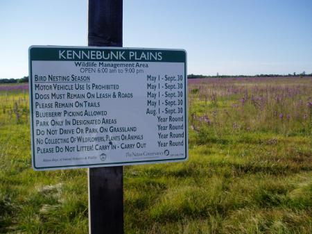 Kennebunk Plains