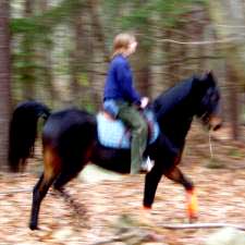 Blurry horse and rider in Rye woods/ SeacoastNH.com