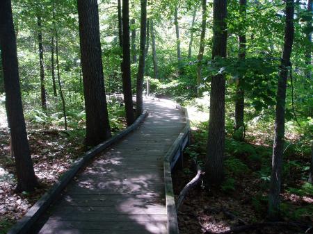 Tree-lined boardwalk starts Sandy Point Trail toward Great Bay view / SeacoastNH