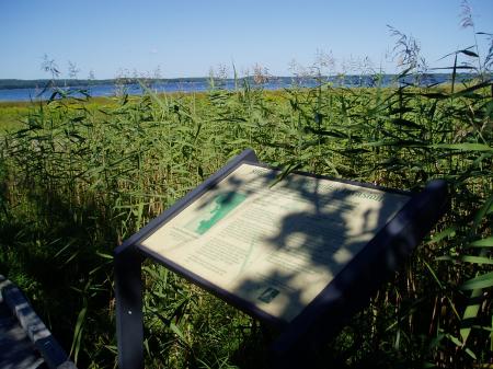 View of Great Bay from Sandy Point Trail with interetive sign about phragmites invasion / SeacoastNH.com