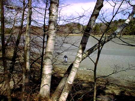 Steedman Woods on York River / SeacoastNH.com